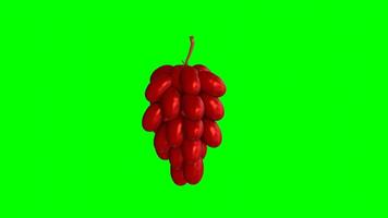 Animated 3d red grapes rotating on a green background. 3d renders video