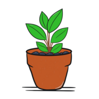 Illustration einer Pflanze in einem Topf png