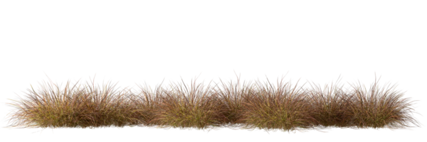 Savanna grass field row on transparent backgrounds 3d rendering png