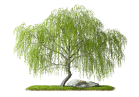 Nature tree on greenery grass layout cut on transparent backgrounds 3d illustration png