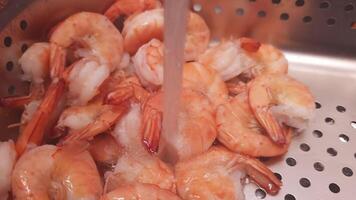 Boiled shrimps in a metal bowl under running water. The flowing water over the shrimps highlights their texture and cleanliness. The shrimps glisten as they are rinsed, emphasizing their freshness. video