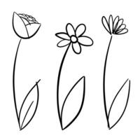 Tres sencillo línea Arte flores dibujo vector