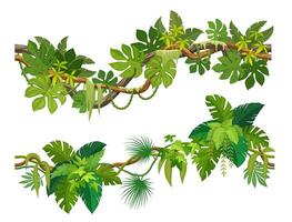 Tropical jungle forest liana branch, vines, vector