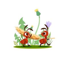 Cartoon ants carry wheat ear, funny characters vector