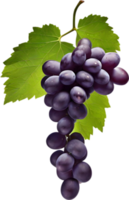 A bunch of dark purple grapes with a green leaf attached. AI-Generated. png