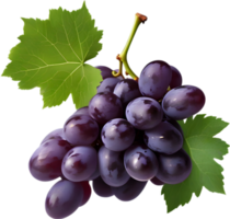 A bunch of dark purple grapes with a green leaf attached. AI-Generated. png