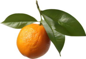 A branch of orange fruit with a green leaf attached. AI-Generated. png