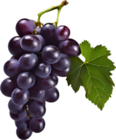 A bunch of dark purple grapes with a green leaf attached. AI-Generated. png