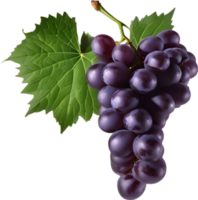 A bunch of dark purple grapes with a green leaf attached. AI-Generated. png