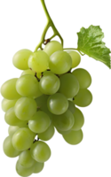 A bunch of green grapes with a green leaf attached. AI-Generated. png