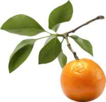 A branch of orange fruit with a green leaf attached. AI-Generated. png