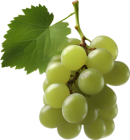 un manojo de verde uvas con un verde hoja adjunto. ai-generado. png