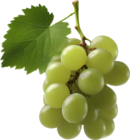 A bunch of green grapes with a green leaf attached. AI-Generated. png