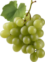 A bunch of green grapes with a green leaf attached. AI-Generated. png