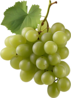 un manojo de verde uvas con un verde hoja adjunto. ai-generado. png