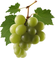 A bunch of green grapes with a green leaf attached. AI-Generated. png