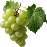 A bunch of green grapes with a green leaf attached. AI-Generated. png