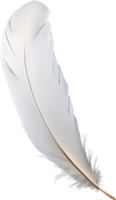 Close-up of white feathers inspired by a white cockatoo. AI-Generated. png