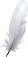 Close-up of white feathers inspired by a white cockatoo. AI-Generated. png