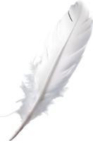 Close-up of white feathers inspired by a white cockatoo. AI-Generated. png