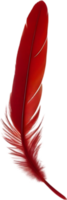 detailopname van rood kardinaal-geïnspireerd veren. ai-gegenereerd. png