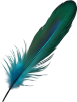 Close-up of green-blue feathers inspired by the Resplendent Quetzal bird. AI-Generated. png