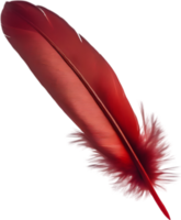 Close-up of red cardinal-inspired feathers. AI-Generated. png