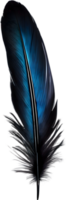 Close-up of black crow-inspired feathers. AI-Generated. png