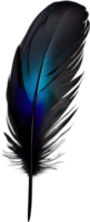 Close-up of black crow-inspired feathers. AI-Generated. png