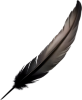 Close-up of black crow-inspired feathers. AI-Generated. png