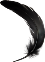 Close-up of black crow-inspired feathers. AI-Generated. png
