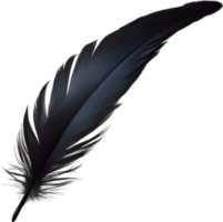 Close-up of black crow-inspired feathers. AI-Generated. png