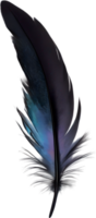 Close-up of black crow-inspired feathers. AI-Generated. png