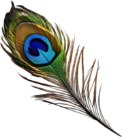 Close-up of beautiful peacock-inspired feathers. AI-Generated. png