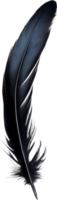 Close-up of black crow-inspired feathers. AI-Generated. png