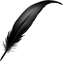 Close-up of black crow-inspired feathers. AI-Generated. png