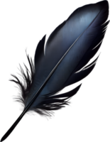 närbild av svart kråkinspirerad fjädrar. ai-genererad. png