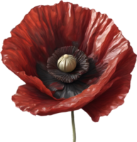 A poppy in hyper-realistic cartoon style. Ai-generated. png