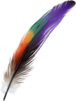 Close-up of rainbow-colored feathers inspired by the rainbow lorikeet. AI-Generated. png