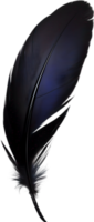 Close-up of black crow-inspired feathers. AI-Generated. png