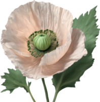 A poppy in hyper-realistic cartoon style. Ai-generated. png