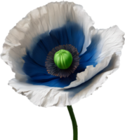 A poppy in hyper-realistic cartoon style. Ai-generated. png