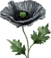 A poppy in hyper-realistic cartoon style. Ai-generated. png