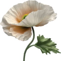 A poppy in hyper-realistic cartoon style. Ai-generated. png