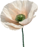 A poppy in hyper-realistic cartoon style. Ai-generated. png