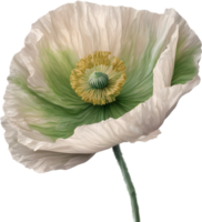 A poppy in hyper-realistic cartoon style. Ai-generated. png