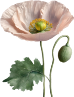 een papaver in hyperrealistisch tekenfilm stijl. ai-gegenereerd. png