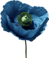 een papaver in hyperrealistisch tekenfilm stijl. ai-gegenereerd. png