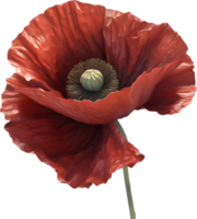 A poppy in hyper-realistic cartoon style. Ai-generated. png