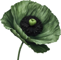 A poppy in hyper-realistic cartoon style. Ai-generated. png